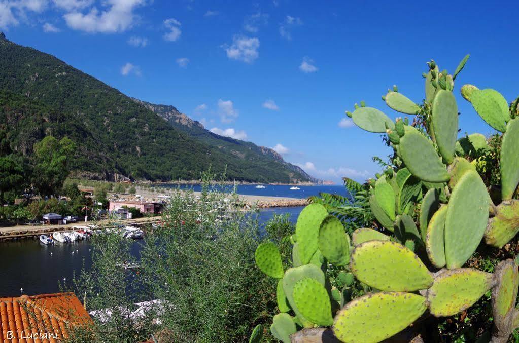 Le Mediterranee Porto  Ngoại thất bức ảnh
